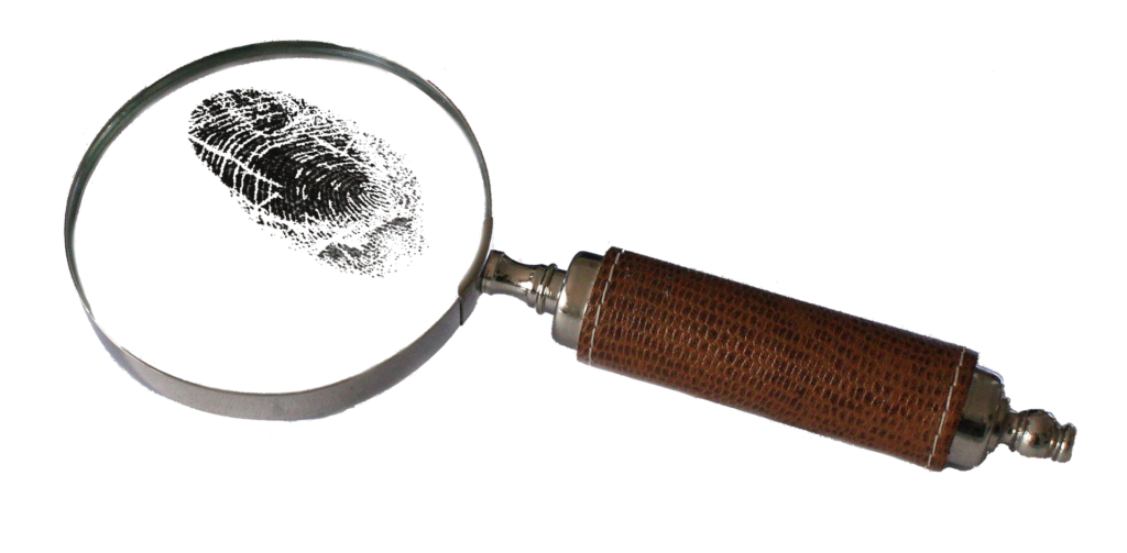 bluebudgie magnifying 2681372 1920